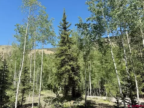 2621 Silver Coin Ln, Lake City, CO 81235
