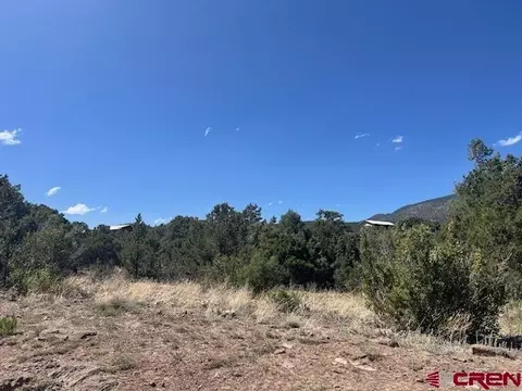tbd Arapahoe Rd, South Fork, CO 81154