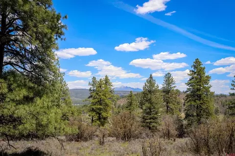 1025 Bobs Pl, Pagosa Springs, CO 81147