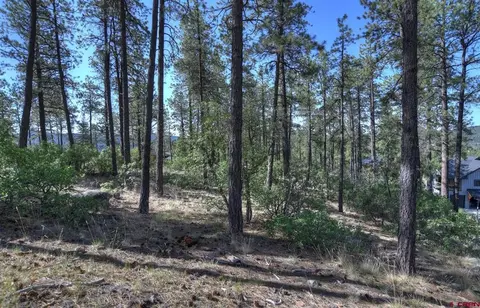 109 Cabin Creek Dr, Durango, CO 81301 photo 18