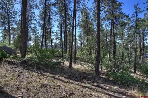 109 Cabin Creek Dr, Durango, CO 81301 photo 17