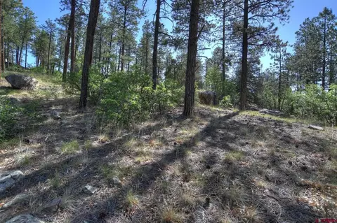 109 Cabin Creek Dr, Durango, CO 81301 photo 23