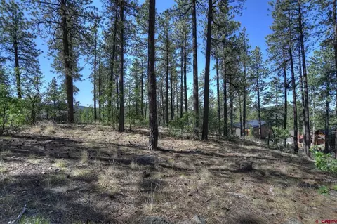 109 Cabin Creek Dr, Durango, CO 81301 photo 28
