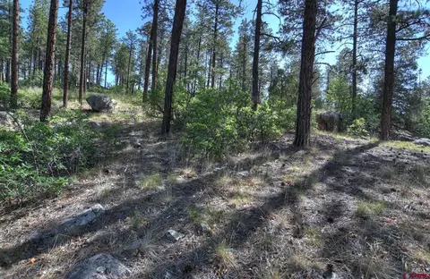 109 Cabin Creek Dr, Durango, CO 81301 photo 24