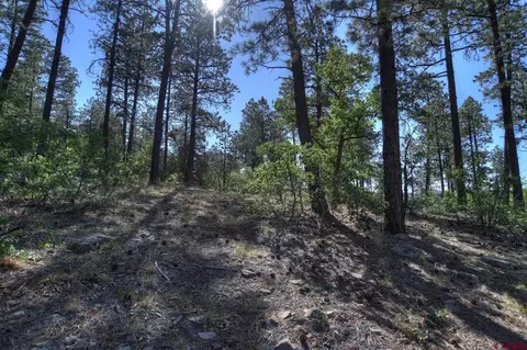109 Cabin Creek Dr, Durango, CO 81301 photo 22