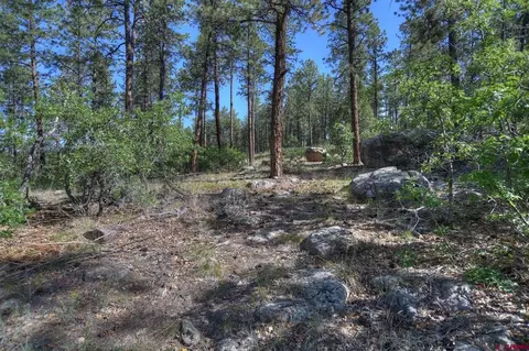 109 Cabin Creek Dr, Durango, CO 81301 photo 12