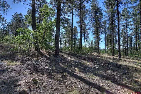 109 Cabin Creek Dr, Durango, CO 81301 photo 21