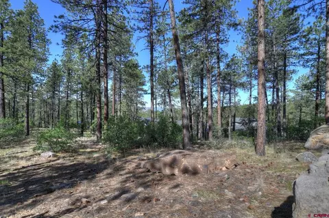 109 Cabin Creek Dr, Durango, CO 81301 photo 7