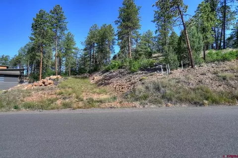 109 Cabin Creek Dr, Durango, CO 81301 photo 3