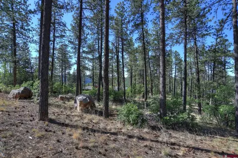 109 Cabin Creek Dr, Durango, CO 81301 photo 10