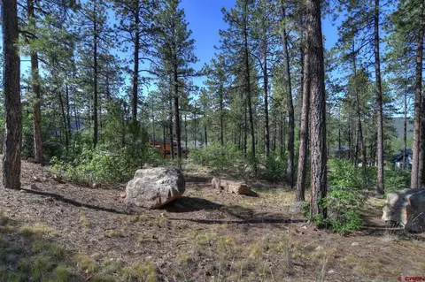 109 Cabin Creek Dr, Durango, CO 81301 photo 19