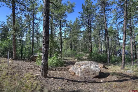 109 Cabin Creek Dr, Durango, CO 81301 photo 9