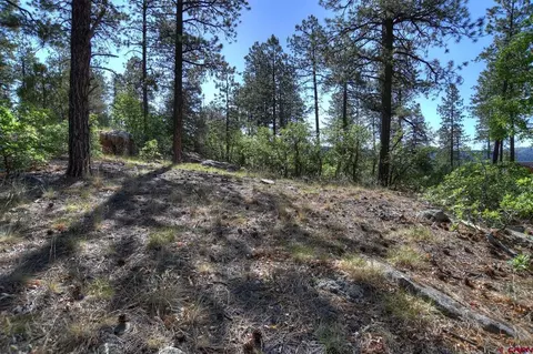109 Cabin Creek Dr, Durango, CO 81301 photo 25