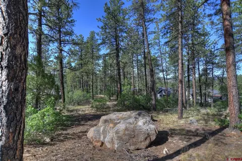 109 Cabin Creek Dr, Durango, CO 81301 photo 20