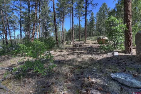 109 Cabin Creek Dr, Durango, CO 81301 photo 13