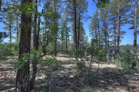 109 Cabin Creek Dr, Durango, CO 81301 photo 26