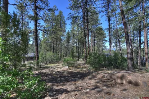 109 Cabin Creek Dr, Durango, CO 81301 photo 14