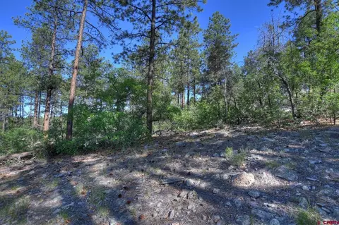 109 Cabin Creek Dr, Durango, CO 81301 photo 11