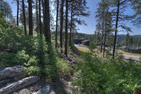 109 Cabin Creek Dr, Durango, CO 81301 photo 6