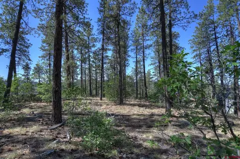 109 Cabin Creek Dr, Durango, CO 81301 photo 27