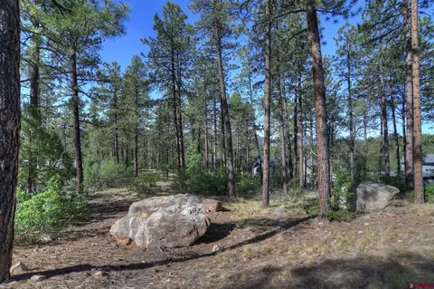 109 Cabin Creek Dr, Durango, CO 81301 photo 8