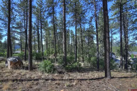 109 Cabin Creek Dr, Durango, CO 81301 photo 4