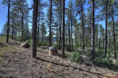 109 Cabin Creek Dr, Durango, CO 81301 photo 16