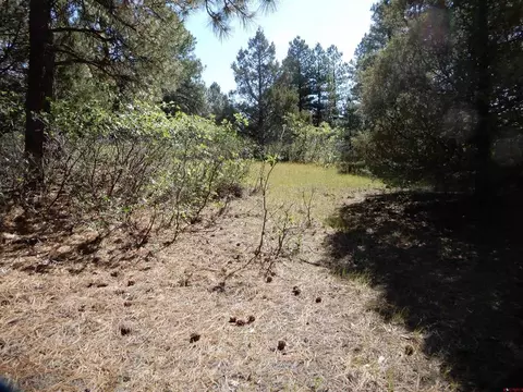 73 Twincreek Cir, Pagosa Springs, CO 81147