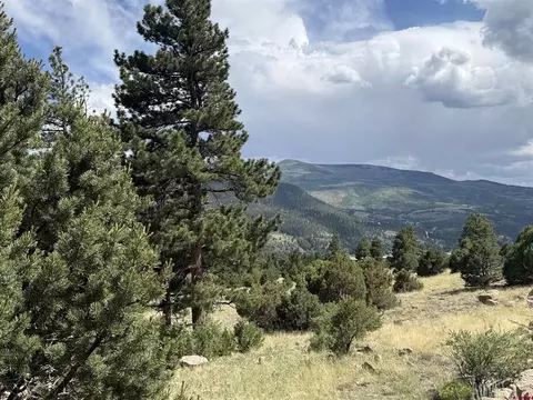 lot42 44 Ellingwood Dr, South Fork, CO 81154