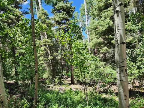 1506 Clarke Mountain Ln, Antonito, CO 81120