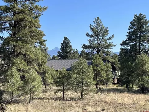 29 Monastery Ct, Pagosa Springs, CO 81147