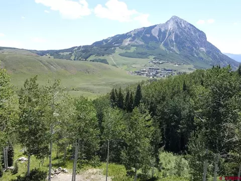 227 Phoenix Way, Crested Butte, CO 81224