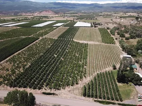 1168 NW Cedar Ave, Cedaredge, CO 81413