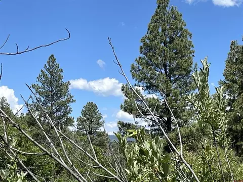 433 Echo Ln, Pagosa Springs, CO 81147
