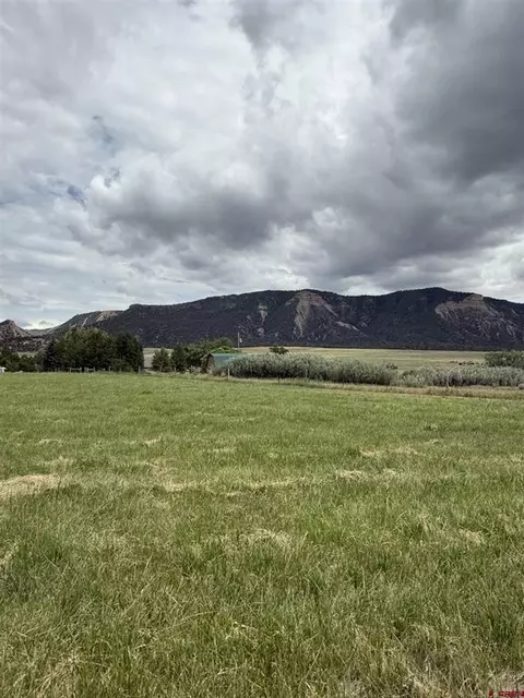 Tract 2 Road 38, Mancos, CO 81328