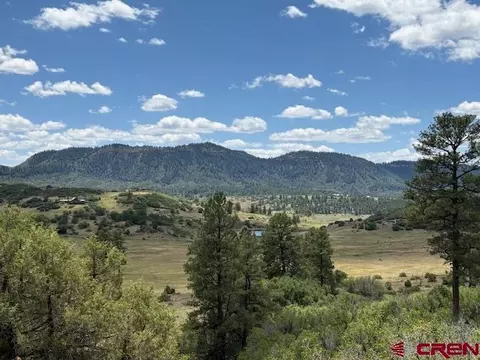 311 E Arbol Park Dr, Pagosa Springs, CO 81147