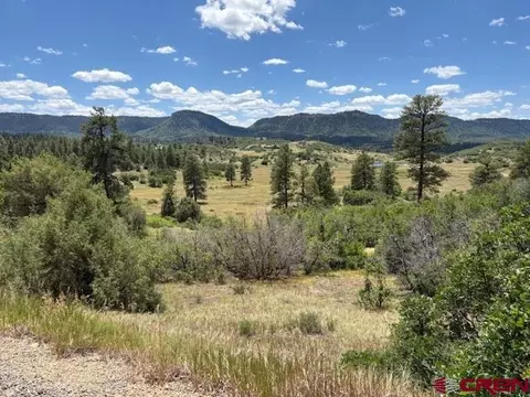 311 E Arbol Park Dr, Pagosa Springs, CO 81147