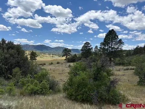 311 E Arbol Park Dr, Pagosa Springs, CO 81147