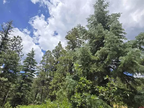 67 Big Pine Trl, Durango, CO 81301 photo 14