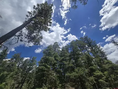 67 Big Pine Trl, Durango, CO 81301 photo 12