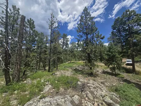 67 Big Pine Trl, Durango, CO 81301 photo 9