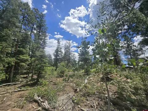 67 Big Pine Trl, Durango, CO 81301 photo 13