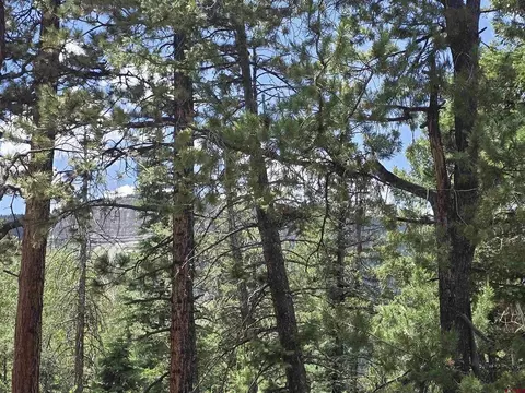 67 Big Pine Trl, Durango, CO 81301 photo 10