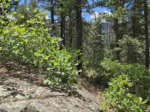 67 Big Pine Trl, Durango, CO 81301 photo 8