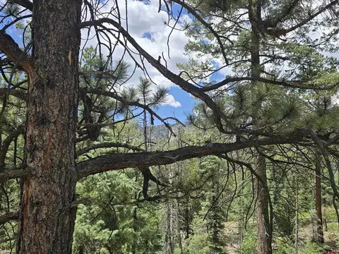 67 Big Pine Trl, Durango, CO 81301 photo 3