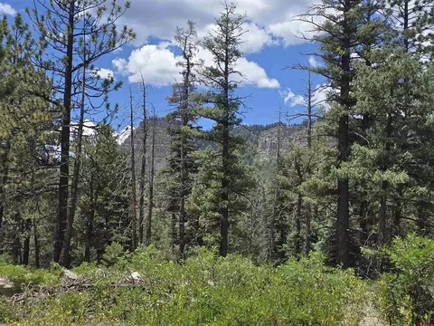 67 Big Pine Trl, Durango, CO 81301 photo 4
