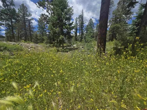 67 Big Pine Trl, Durango, CO 81301 photo 15