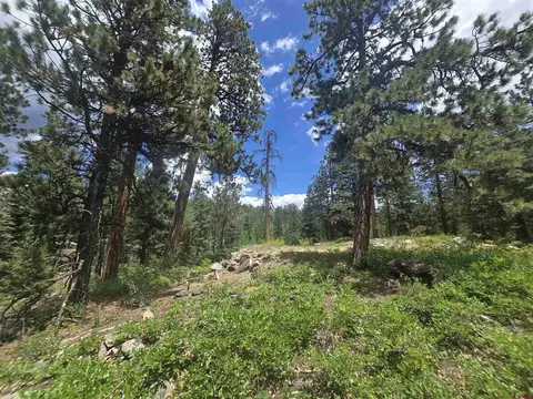 67 Big Pine Trl, Durango, CO 81301 photo 2