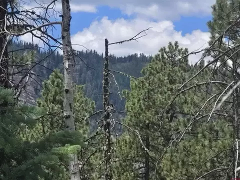 67 Big Pine Trl, Durango, CO 81301 photo 11