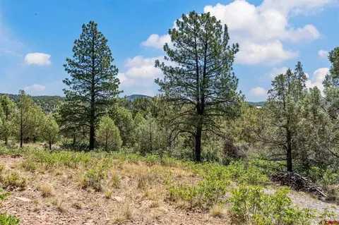 285 Logging Trail Rd, Durango, CO 81303 photo 11
